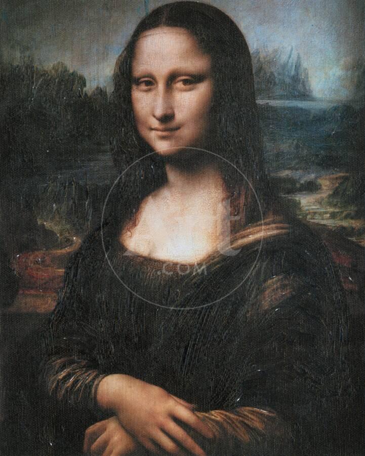Mona Lisa La Gioconda C 1507 Framed Textured Art By Leonardo Da Mona Lisa La Gioconda C 1507 Framed Textured Art By Leonardo Da Vinci Com