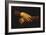 Mona Lisa-Leonardo da Vinci-Framed Giclee Print