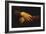 Mona Lisa-Leonardo da Vinci-Framed Giclee Print