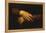 Mona Lisa-Leonardo da Vinci-Framed Premier Image Canvas