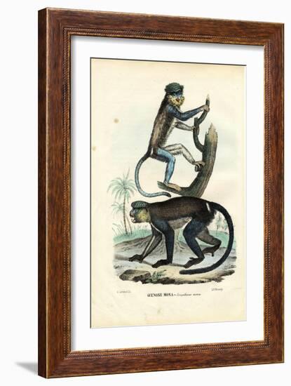 Mona Monkey, 1863-79-Raimundo Petraroja-Framed Giclee Print