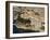 Monaco Oceanography Museum and Monaco, Cote D'Azur, Monaco-Sergio Pitamitz-Framed Photographic Print