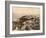 Monaco - Palace-null-Framed Photographic Print