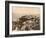 Monaco - Palace-null-Framed Photographic Print