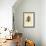 Monadelphous Heath, Erica Monadelpha-Sydenham Teast Edwards-Framed Giclee Print displayed on a wall