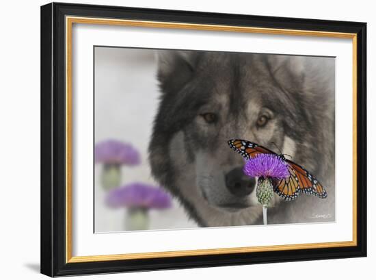 Monarch and Wolf II-Gordon Semmens-Framed Photographic Print