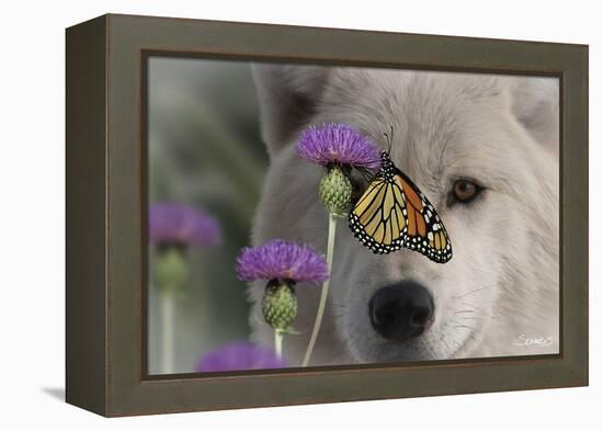 Monarch and Wolf-Gordon Semmens-Framed Premier Image Canvas