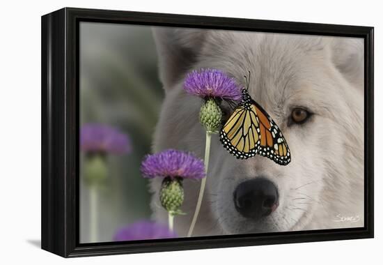 Monarch and Wolf-Gordon Semmens-Framed Premier Image Canvas