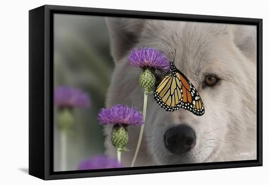 Monarch and Wolf-Gordon Semmens-Framed Premier Image Canvas