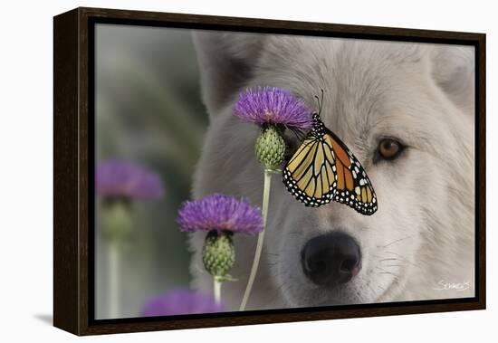 Monarch and Wolf-Gordon Semmens-Framed Premier Image Canvas