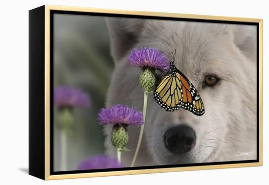 Monarch and Wolf-Gordon Semmens-Framed Premier Image Canvas