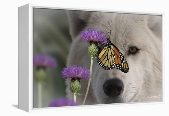 Monarch and Wolf-Gordon Semmens-Framed Premier Image Canvas