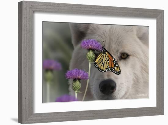 Monarch and Wolf-Gordon Semmens-Framed Photographic Print