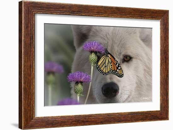 Monarch and Wolf-Gordon Semmens-Framed Photographic Print