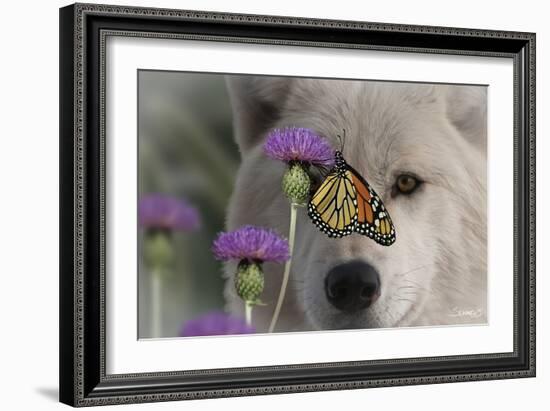 Monarch and Wolf-Gordon Semmens-Framed Photographic Print