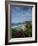 Monarch Beach 1-Chris Bliss-Framed Photographic Print