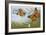 Monarch Butterflies (Danaus Plexippus), Nymphalidae with Larva and Cocoon-null-Framed Giclee Print