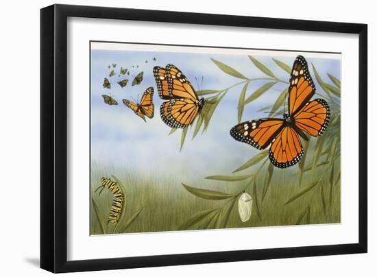 Monarch Butterflies (Danaus Plexippus), Nymphalidae with Larva and Cocoon-null-Framed Giclee Print