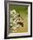 Monarch Butterfly-Gary Carter-Framed Photographic Print