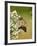 Monarch Butterfly-Gary Carter-Framed Photographic Print