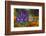 Monarch Butterfly-Darrell Gulin-Framed Photographic Print