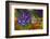 Monarch Butterfly-Darrell Gulin-Framed Photographic Print