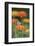 Monarch Butterfly-null-Framed Photographic Print