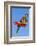 Monarch Butterfly-Lynn M^ Stone-Framed Photographic Print