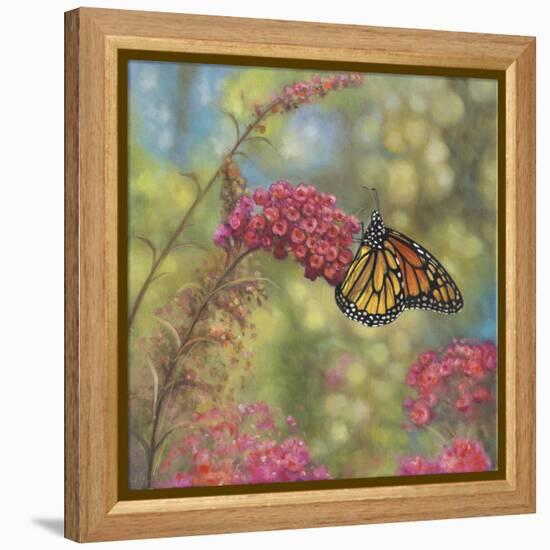 Monarch Butterfly-John Zaccheo-Framed Premier Image Canvas