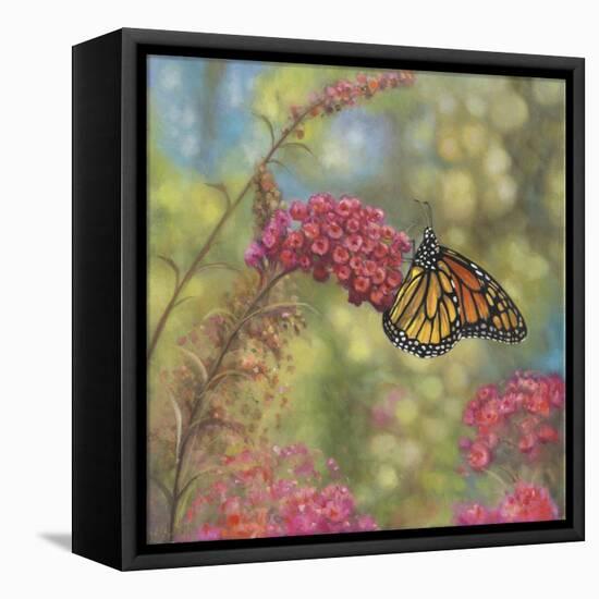 Monarch Butterfly-John Zaccheo-Framed Premier Image Canvas