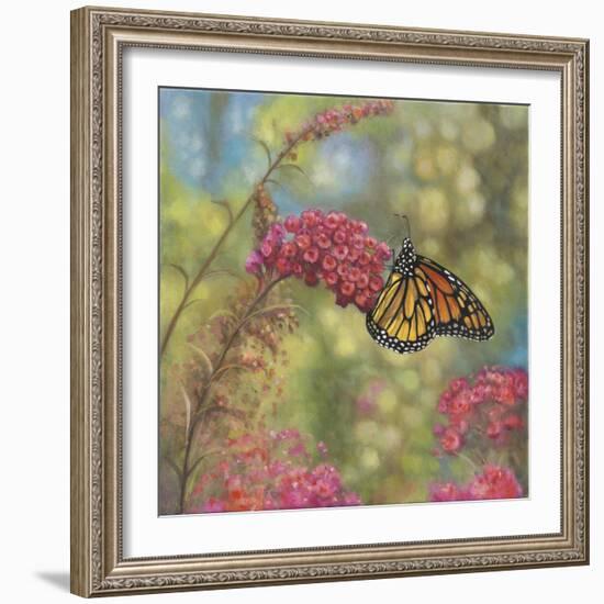 Monarch Butterfly-John Zaccheo-Framed Giclee Print