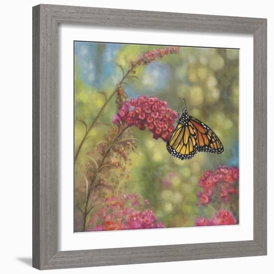 Monarch Butterfly-John Zaccheo-Framed Giclee Print