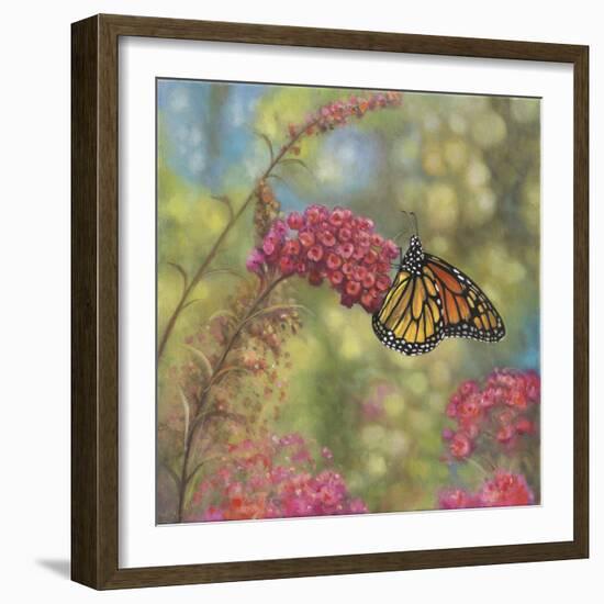 Monarch Butterfly-John Zaccheo-Framed Giclee Print