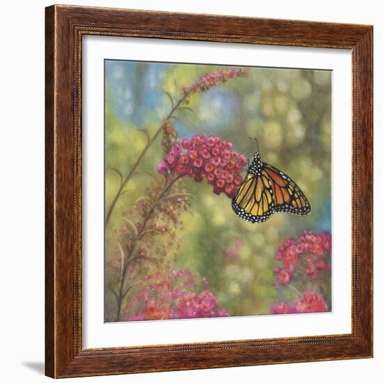 Monarch Butterfly-John Zaccheo-Framed Giclee Print