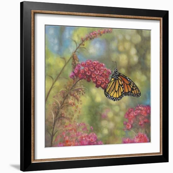 Monarch Butterfly-John Zaccheo-Framed Giclee Print