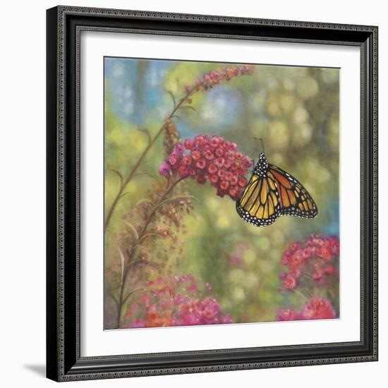 Monarch Butterfly-John Zaccheo-Framed Giclee Print