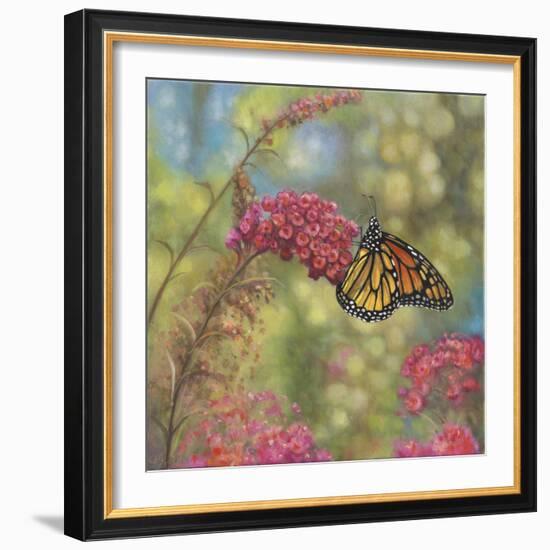 Monarch Butterfly-John Zaccheo-Framed Giclee Print