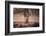 Monarch of the Forest-Alex Saberi-Framed Photographic Print