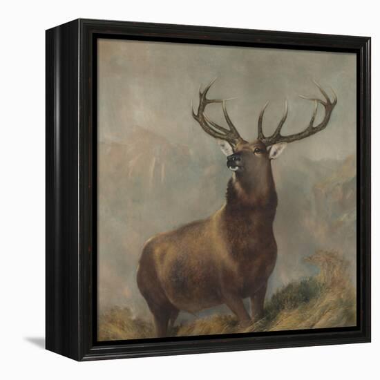 Monarch of the Glen by Edwin Landseer-Edwin Landseer-Framed Premier Image Canvas