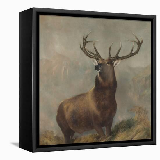 Monarch of the Glen by Edwin Landseer-Edwin Landseer-Framed Premier Image Canvas