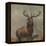 Monarch of the Glen by Edwin Landseer-Edwin Landseer-Framed Premier Image Canvas