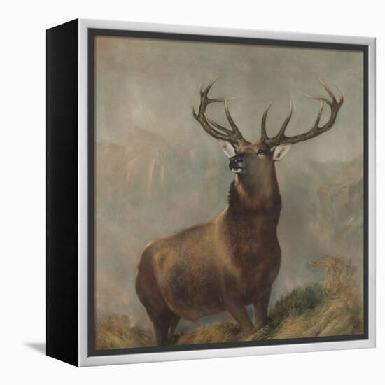 Monarch of the Glen by Edwin Landseer-Edwin Landseer-Framed Premier Image Canvas