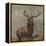 Monarch of the Glen by Edwin Landseer-Edwin Landseer-Framed Premier Image Canvas