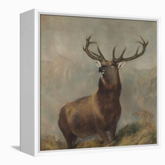 Monarch of the Glen by Edwin Landseer-Edwin Landseer-Framed Premier Image Canvas