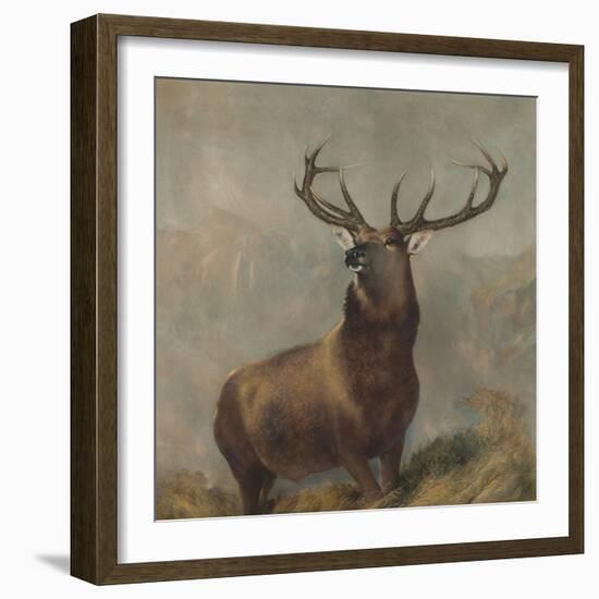 Monarch of the Glen by Edwin Landseer-Edwin Landseer-Framed Giclee Print