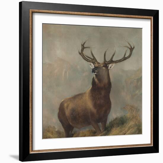 Monarch of the Glen by Edwin Landseer-Edwin Landseer-Framed Giclee Print