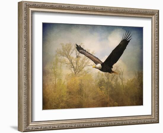 Monarch of the Skies Bald Eagle-Jai Johnson-Framed Giclee Print