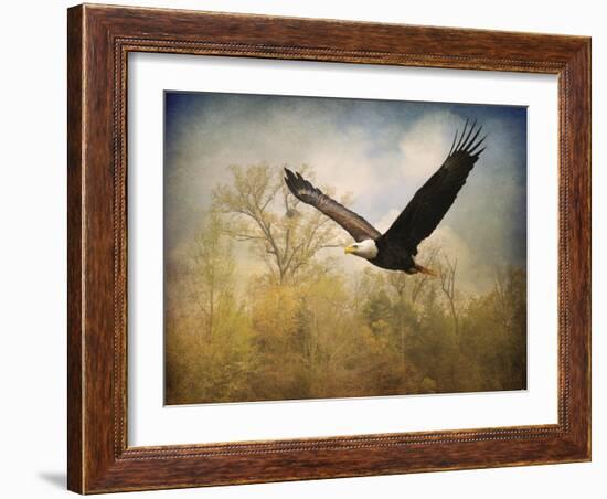 Monarch of the Skies Bald Eagle-Jai Johnson-Framed Giclee Print