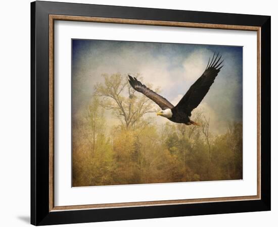 Monarch of the Skies Bald Eagle-Jai Johnson-Framed Giclee Print