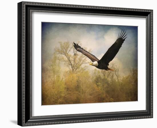 Monarch of the Skies Bald Eagle-Jai Johnson-Framed Giclee Print